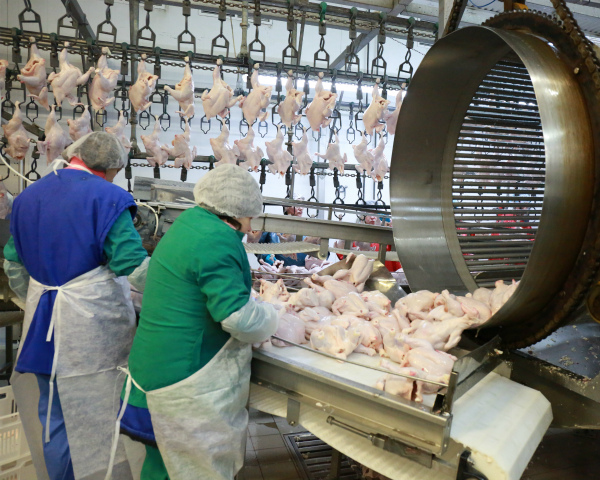 «Русское Зерно Уфа» запустило в Башкирии новый мясоперерабатывающий завод «Турбаслинские бройлеры»