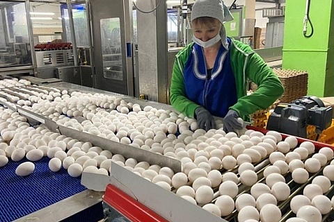 «Таврос» приобрел компанию-производителя пищевого яйца