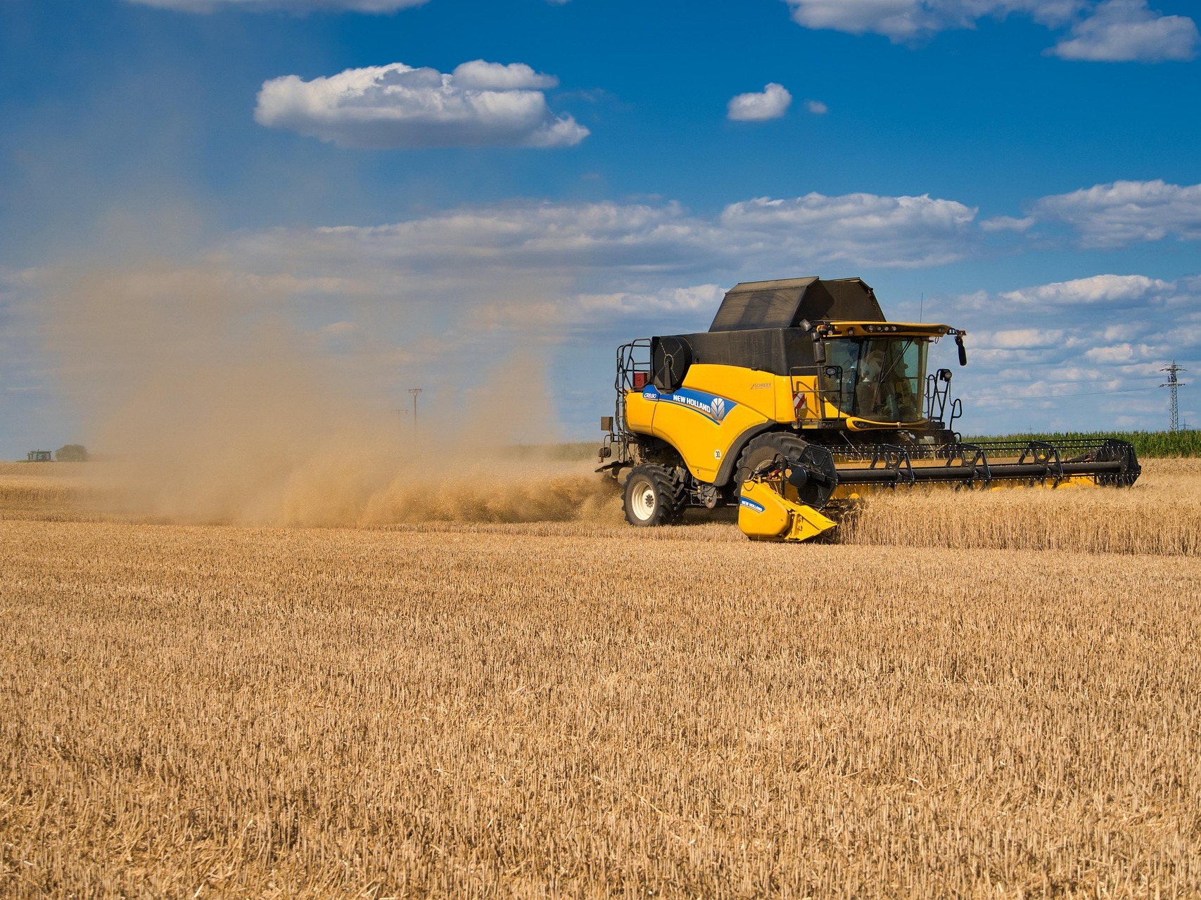 «Русагротранс»: урожай зерна в этом сезоне будет выше средних значений