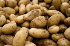 Россия удвоила импорт картофеля