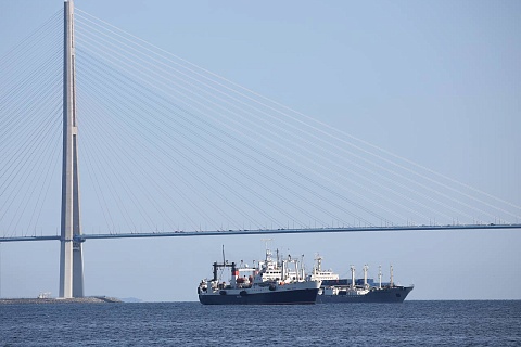 Экспорт продукции АПК снизился на 11,1%