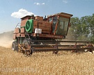Чувашия уберет зерновые до конца недели