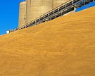 Запасы зерна у агропредприятий снизились на 1,2%