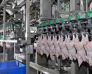 «Черкизово» планирует произвести до 0,5 млн тонн мяса птицы