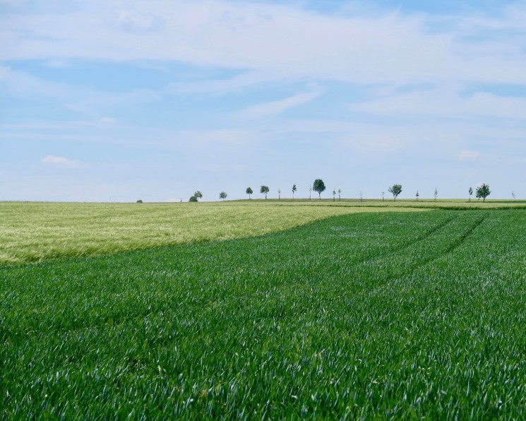Паспорт поля: почему важно знать, чем «дышит» почва‌