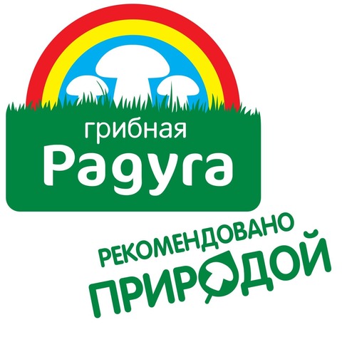 «Грибная радуга»