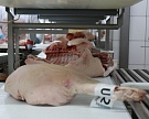 «Агроинвестор» публикует новый рейтинг крупнейших производителей мяса