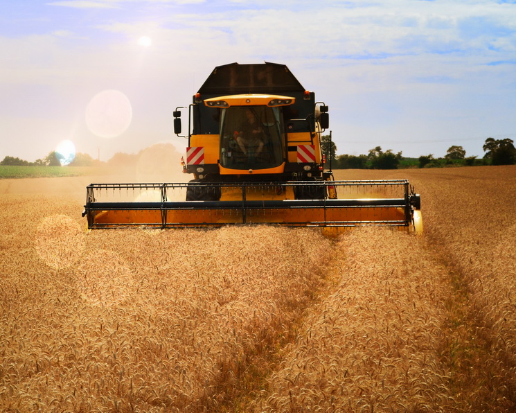 По итогам 2025 года сельхозпроизводство выросло на 4,9%