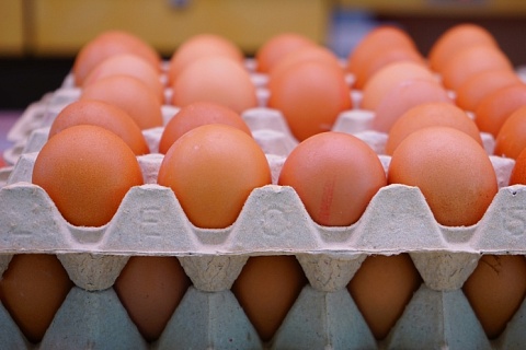 Стоимость куриных яиц продолжает расти