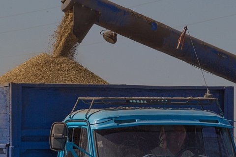 Экспортные цены на пшеницу снижаются