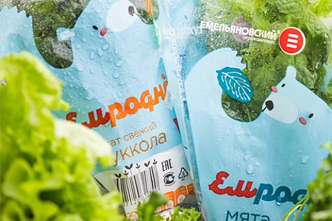 ГК «Горкунов» может купить тепличный комплекс в Новосибирской области