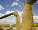 Потребление зерна в мире увеличится на 10 млн тонн