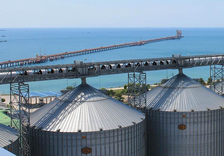 РСХБ: инвестиции в элеваторы могут составить 500 млрд рублей до 2030 года