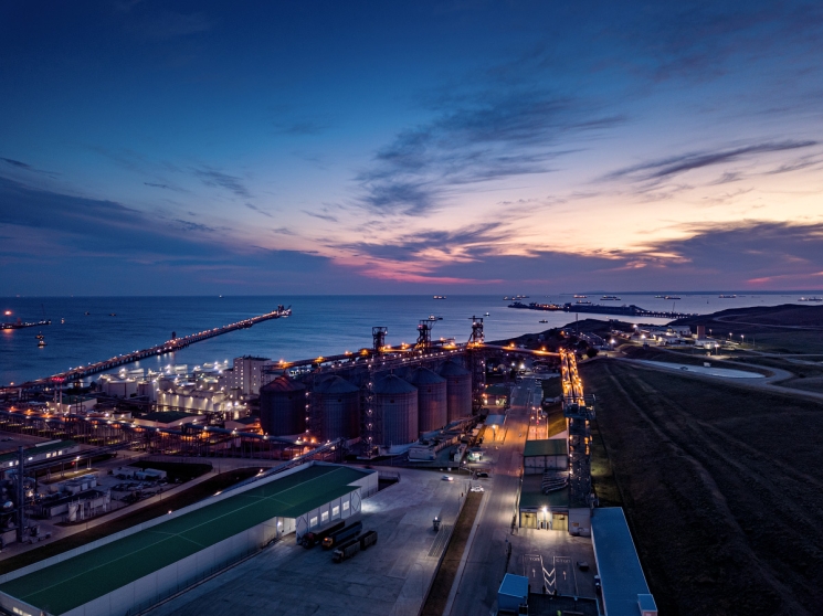 Антихрупкий АПК России. Как монетизировать нестабильность в эпоху тарифных войн