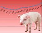 В России дешевеет свинина и мясо бройлера