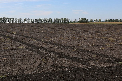 Более 3 млн га неиспользуемых сельхозземель ввели в оборот в России за четыре года