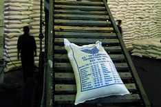 Россия экспортировала 500 тысяч тонн сахара