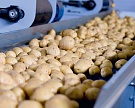 До 20% затрат на строительство картофелехранилищ могут компенсировать