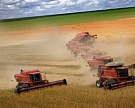 На юге цены на зерно занизили