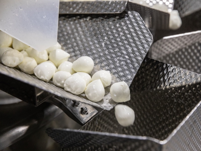 Экспорт молочной продукции превысил $500 млн