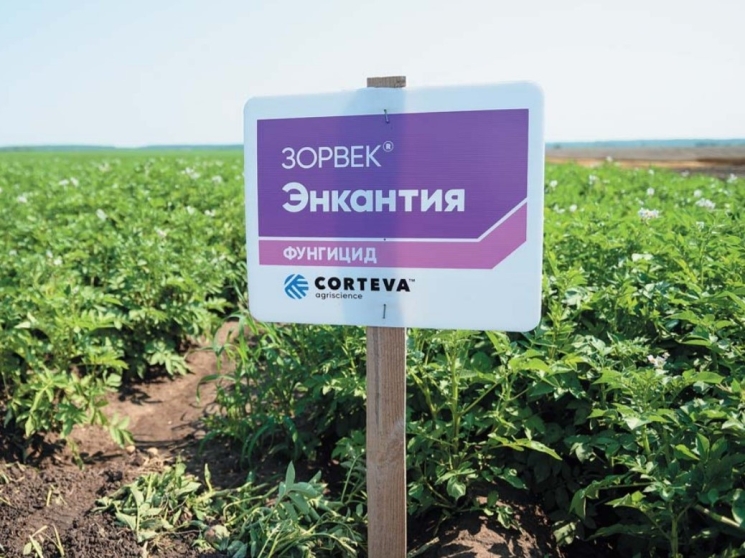 ЗОРВЕК® ЭНКАНТИЯ. Мнения аграриев о препарате компании Corteva Agriscience