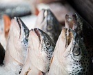 Минпромторг признал 50% рыбы на рынке фальсификатом