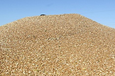 Экспорт зерна превысил 29 млн тонн