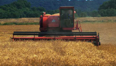 Минэкономразвития: рост производства зерна замедлится в 2012—2014 гг..