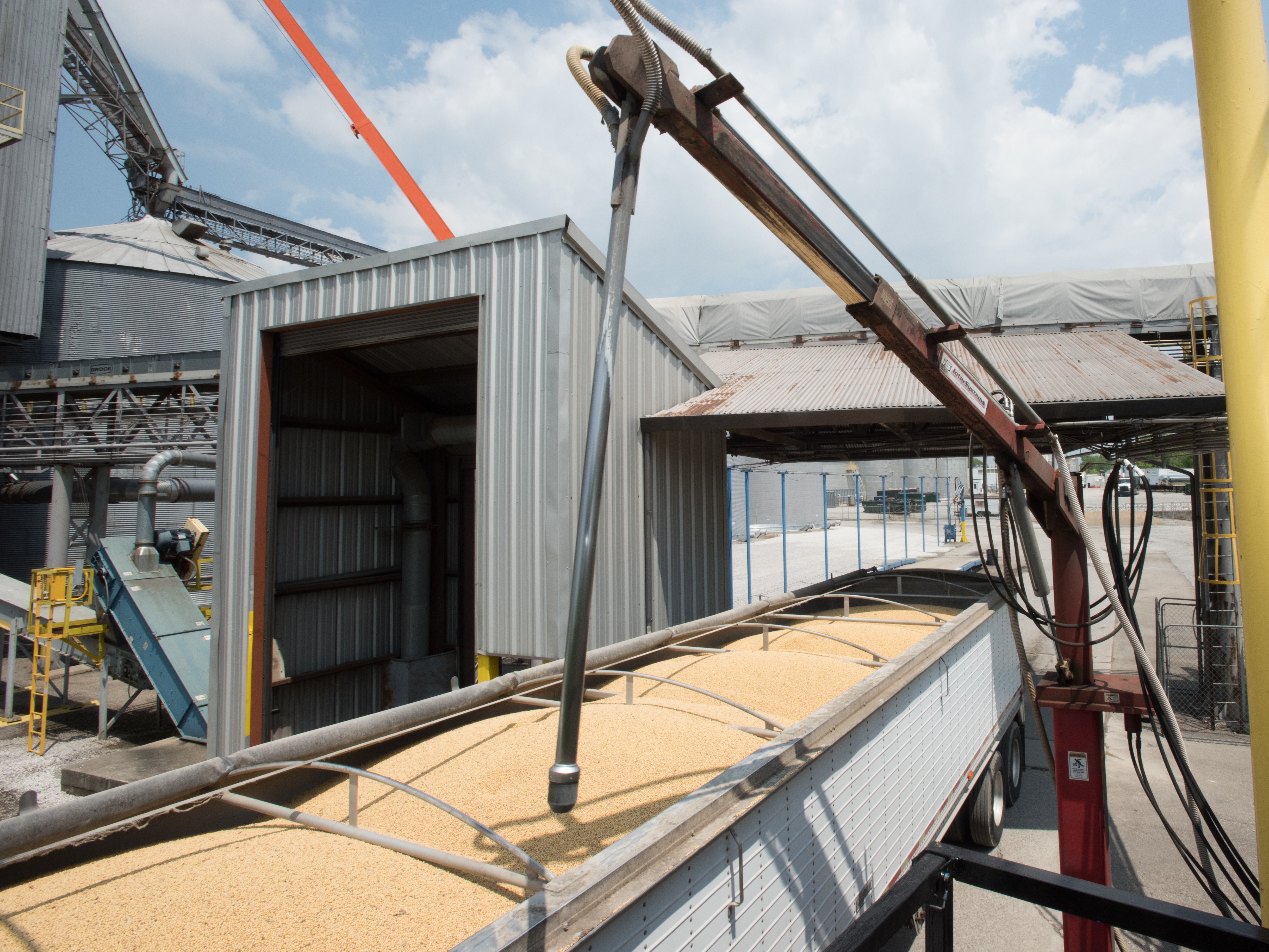 Квота на экспорт зерна составит 24 млн тонн