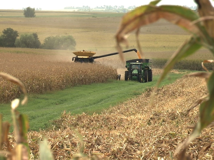 Corteva Agriscience получила две награды Crop Science Awards