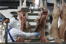 Центр Алексея Кудрина: российское мясо неконкурентно в мире