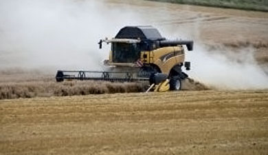 Иркутская обл. планирует увеличить производство зерна на 18%
