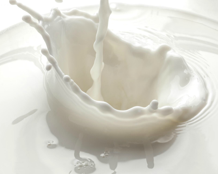 Производители молока могут потерять более 84 млрд рублей