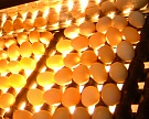«Черкизово» намерено полностью заместить импорт инкубционного яйца