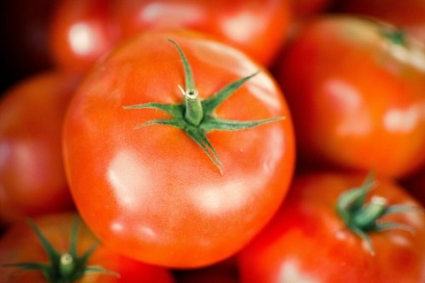 Овощеводы выступают за повышение импортной пошлины на томаты до 80%