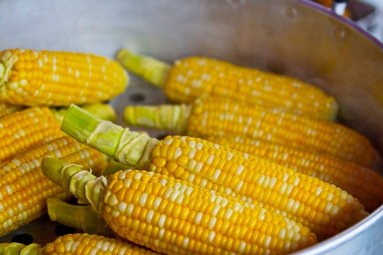 Фермеры, выращивающие кукурузу бренда Pioneer®, получили высшие награды на конкурсе урожайности Национальной ассоциации производителей кукурузы (США)