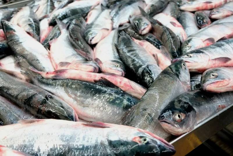 Экспорт продукции АПК в Китай вырос на 8%