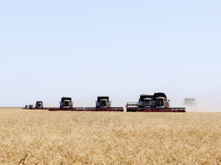 Сельхозтехника расширяет границы. Помогут ли дополнительные меры поддержки нарастить отгрузки за рубеж