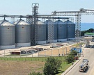 IGC повысил прогнозы сбора зерна в мире и в России
