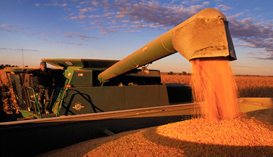Государство закупило более 6 млн. т зерна