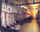 ВТО поддержала ЕС по спору с Россией об импорте свиней