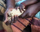 FAO призывает решать проблему голода