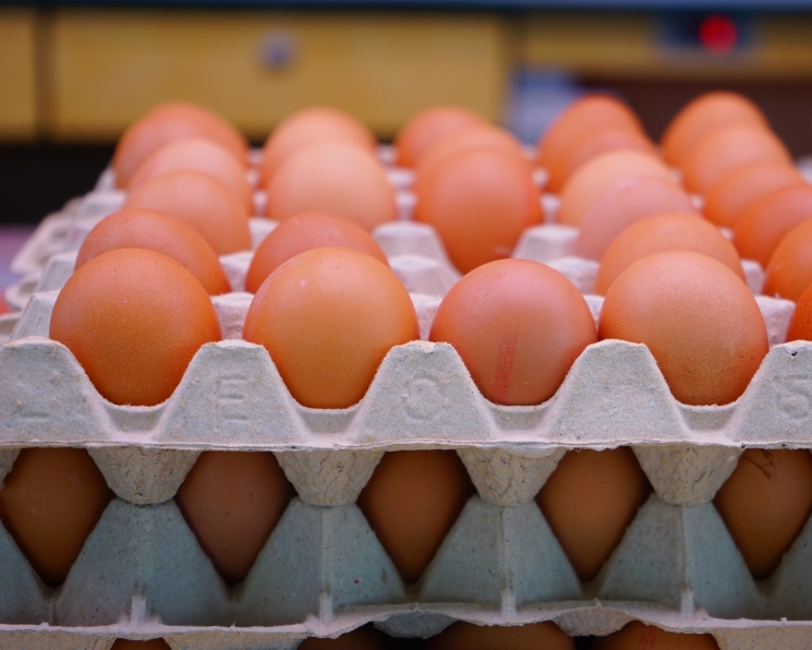 «Руспродсоюз»: импортные яйца в основном идут на переработку
