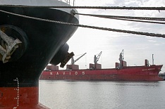 Экспорт зерна в марте составил 5 млн тонн