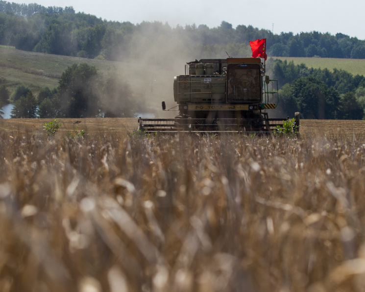 Спрос на российскую пшеницу начал расти