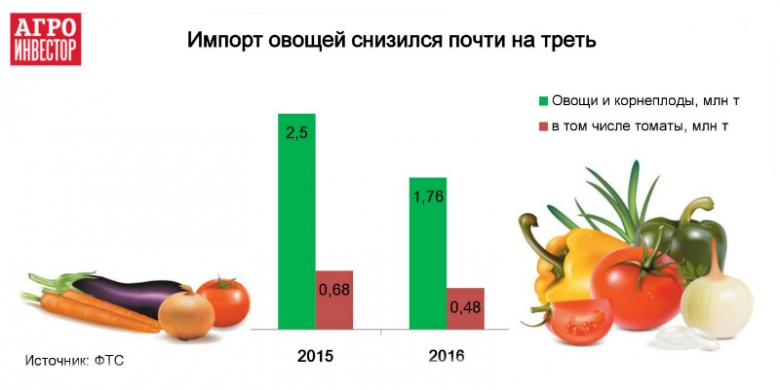 Хорошие урожаи способствуют сокращению ввоза овощей