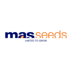 MAS Seeds