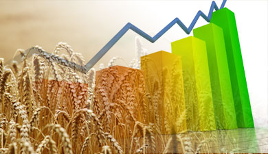 Агропроизводство за 1-й квартал возросло на 0,7%