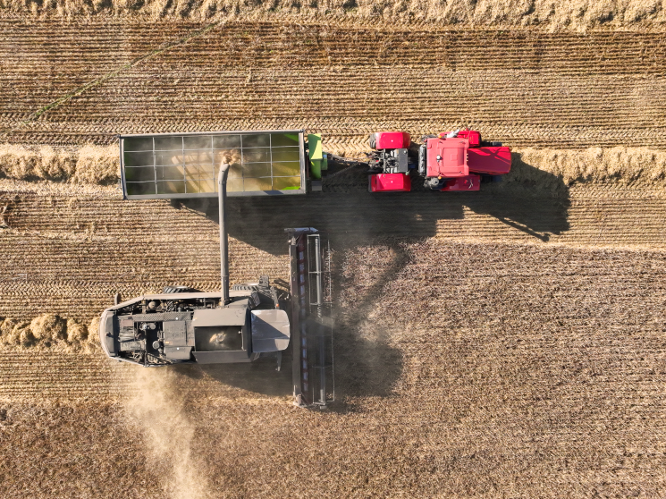 Золотые нивы центра Евразии. Обзор АПК Оренбургской области