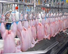 Продовольствие подорожало на 16,3%